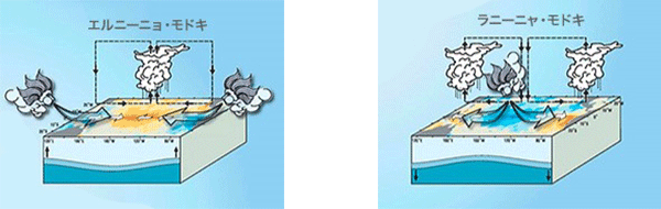 el_la_modoki