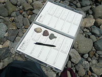 岩石を種類ごとに紙に貼付けて、色、構成粒子についての観察結果を記録