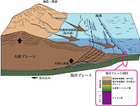 これらの地層は主に白亜紀に形成されたものですが、現在も同じプロセスで地層ができている場所があります それは、「ちきゅう」が掘削している南海トラフ周辺です