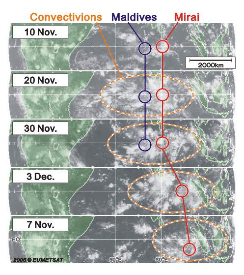 Satellite pictures of cumulus movement, observation area of meteorological equipment on Maldives Islands and of R/V MIRAI.