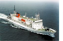 Support Vessel 