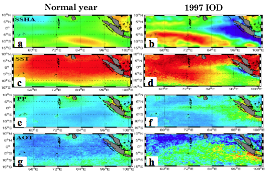 Fig. 2. Atmospheric and oceanic conditions during normal and IOD years.  (a) and (b) are  merged-SSHA during normal and 1997 IOD years. (c) and (d) are same as (a) and (b) except for AVHRR SST. (e) and (f) are same as (a) and (b) except for satellite-derived PP. (g) and (h) are same as (a) and (b) except for SeaWiFS aerosol optical thickness (AOT).