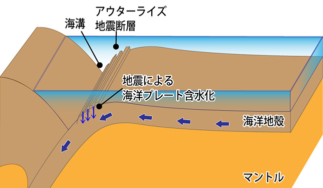 アウターライズ地震