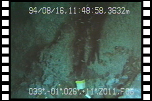 TAGマウンドで通称「ジャイアントケルプ」の設置に成功　第225潜航 1994年8月16日