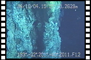 EPRで初めてブラックスモーカー発見　第240潜航 1994年10月4日