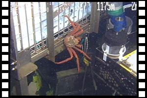 シャトルエレベーターでの作業 第914潜航 2005年12月8日