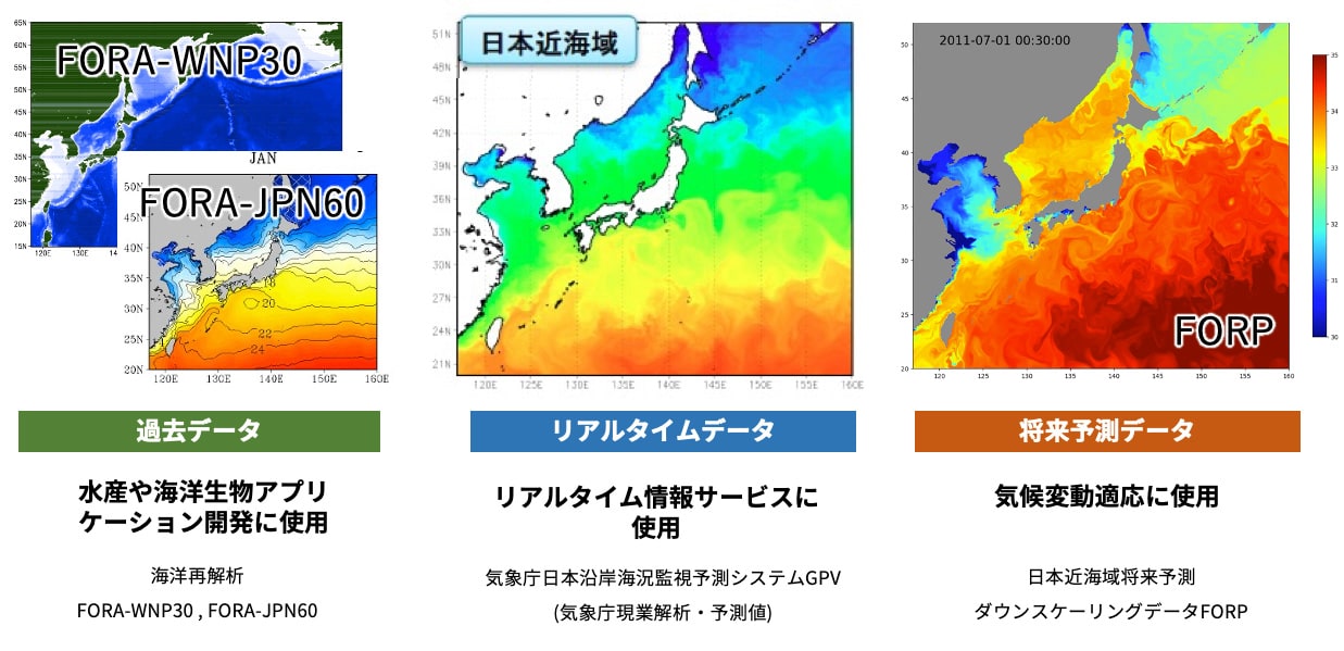海洋デジタルツインの基盤としての海洋環境データセット