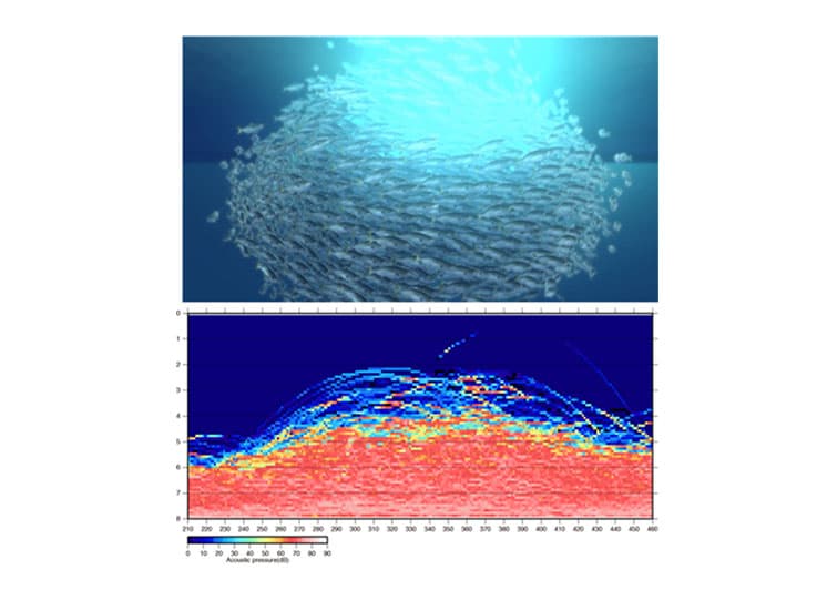 バーチャル⽣簀によるブリの分布再現（上）と対応する⿂探エコーシミュレーション（下）