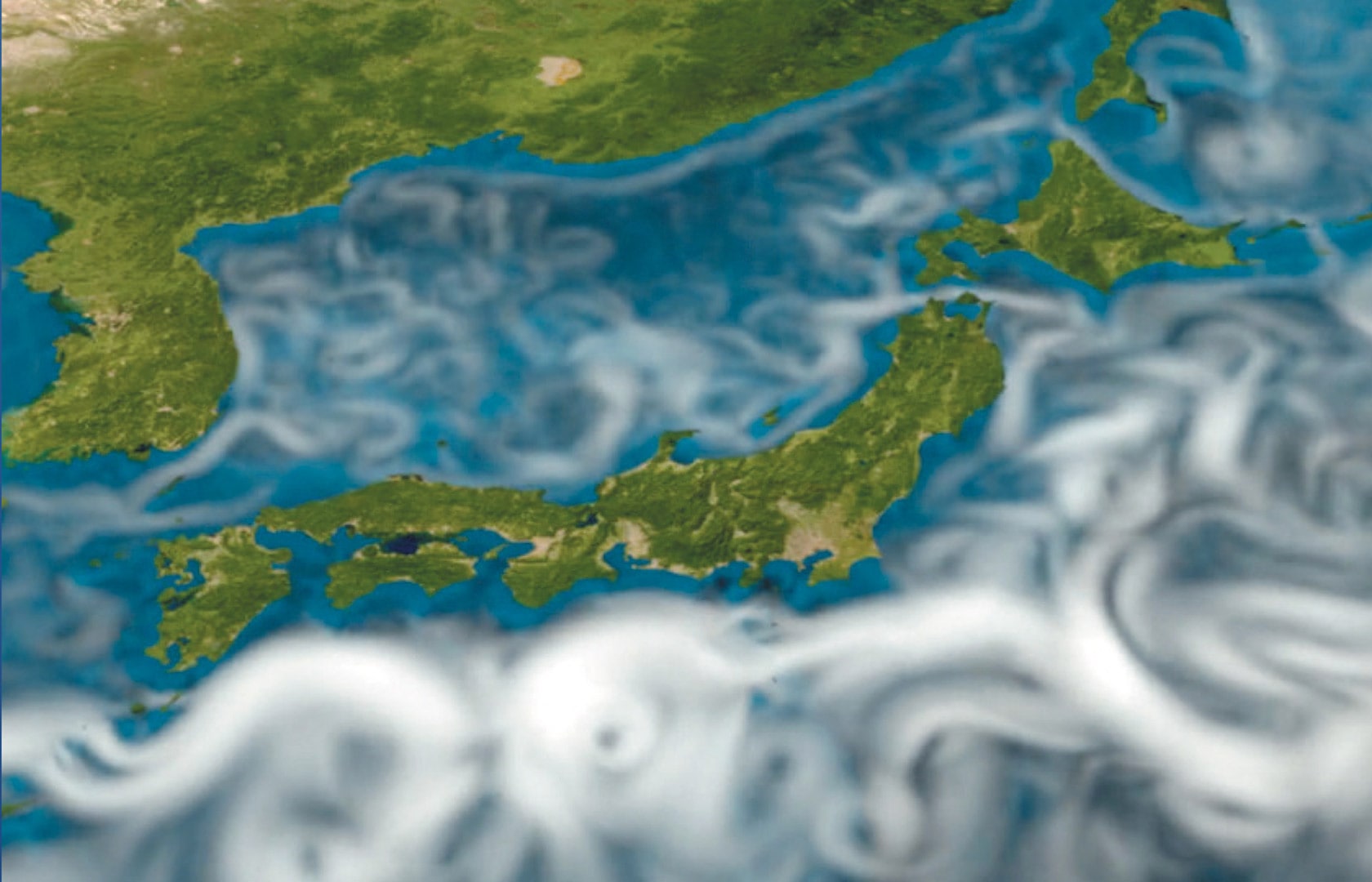 海洋⽣物分布推定・予測