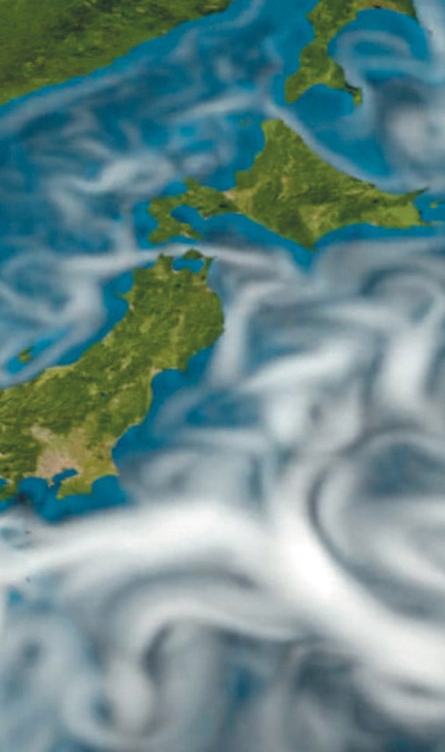 海洋⽣物分布推定・予測