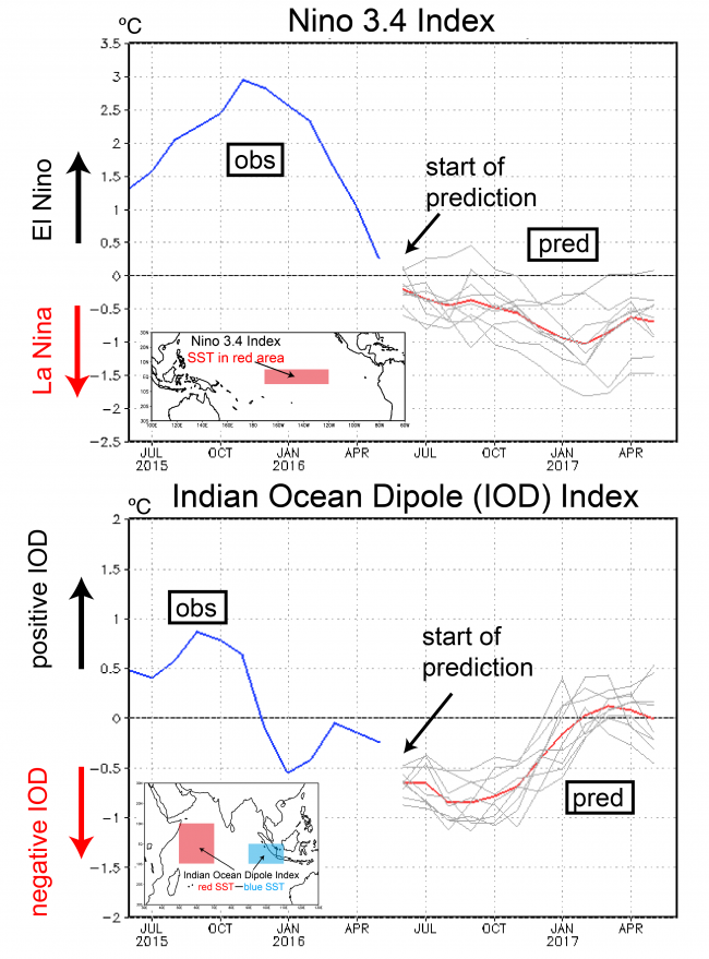 Figure 4. Time evolution of Nino 3.4 and Indian Ocean Dipole indices (in °C). The blue lines show the observations. The predictions (initiated on June 1) are shown for individual ensemble members with perturbed initial conditions (grey lines) and their average (red lines).
