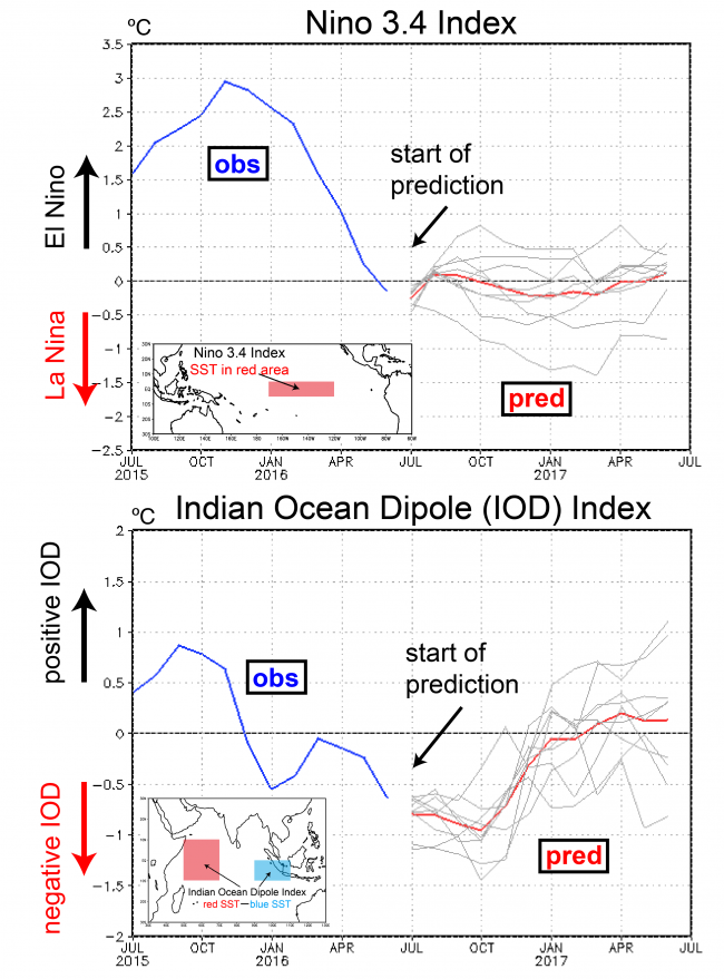 Figure 4.   Time evolution of Nino 3.4 and Indian Ocean Dipole indices (in °C). The blue lines show the observations. The predictions (initiated on July 1) are shown for individual ensemble members with perturbed initial conditions (grey lines) and their average (red lines).