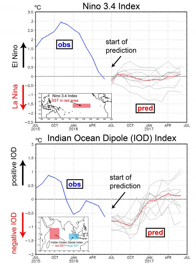 Figure 4. Time evolution of Nino 3.4 and Indian Ocean Dipole indices (in °C). The blue lines show the observations. The predictions (initiated on July 1) are shown for individual ensemble members with perturbed initial conditions (grey lines) and their average (red lines).