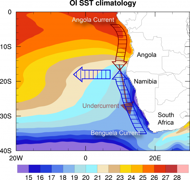 Figure 3.   Climatological sea-surface temperature (SST; in degree Celsius) and currents in the southeast Atlantic. The Angola current (top) carries warm tropical waters poleward, while the Benguela current (bottom) carries cool waters equatorward. Around 17ºS these two currents collide. The Angola dips below the surface layer (it “subducts”; depicted by brown arrow), while the Benguela current veers offshore (leftward pointing arrow).