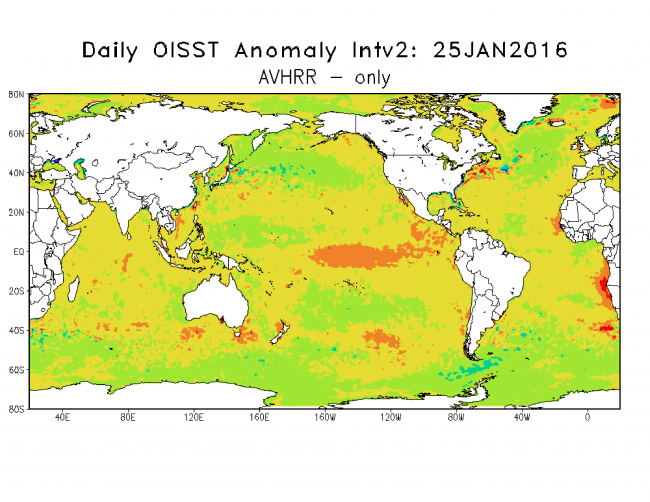 Figure 5. Same as in Fig. 4 but one day later (January 25, 2016). It seems the extreme warming off southwest Africa has caused the plotting routine to readjust the color scheme. The deep red areas show SST anomalies above 4ºC. from https://www.ncdc.noaa.gov/oisst