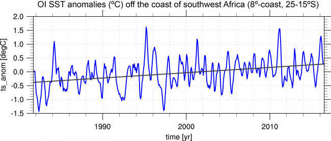 Figure 7.   Monthly mean SST anomalies (ºC) off the southwest African coast (same area-average as in Fig. 6). There is an obvious upward trend in SST. The best fit line suggests a value of 0.2ºC/decade for the trend. Even without correcting for this trend, the 1995 Benguela Niño retains the largest SST anomaly on record.