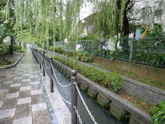 The Sugita River (are shall we say brook?) next to the Yokohama Campus