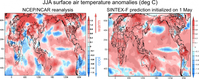 Figure 4.   Surface air temperature anomalies for the period June through August from NCEP/NCAR reanalysis (left) and the SINTEX-F prediction initialized on 1 May (right). Blue shading means cooler than average, red shading means warmer than average.