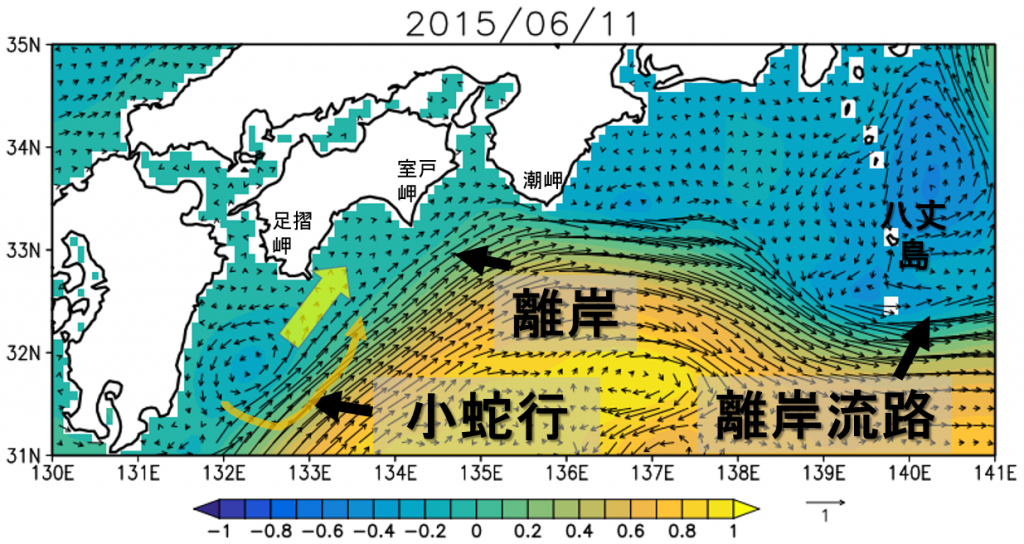 図4： 6月11日の予測値