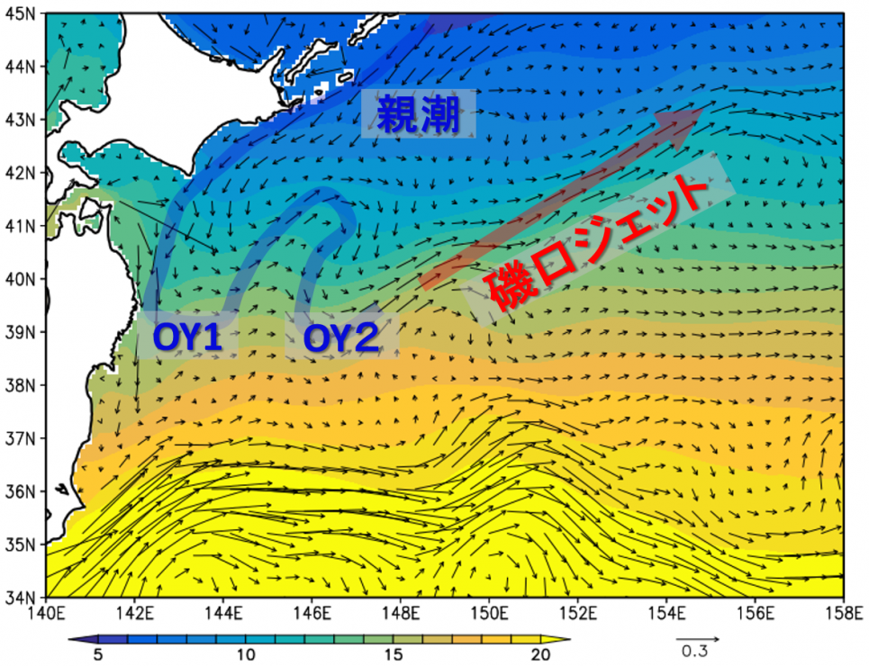 図3: JCOPE2による平年値（1993-2012年平均)。矢印は表層の流速（メートル毎秒）、色は海面温度（ºC）。