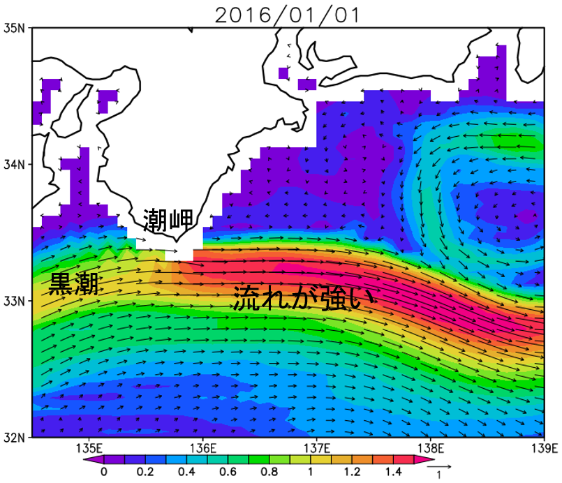 図1: 2016年1月1日の潮岬付近での黒潮の流れ。矢印は海面近くの向きと強さ（メートル毎秒）。色も海流の強さをあらわす（メートル毎秒）。