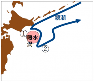暖水渦の影響続く (親潮ウォッチ2020/10) – 黒潮親潮ウォッチ