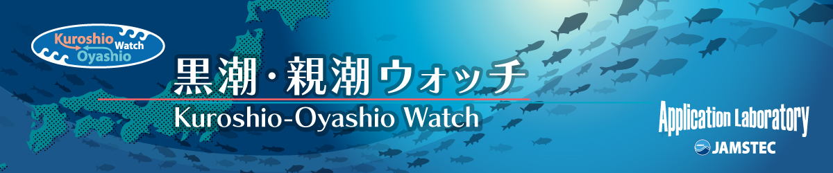 黒潮親潮ウォッチ
