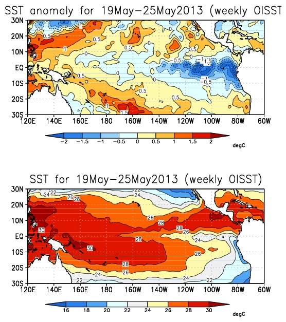 Pacific Ocean SST Anomaly and SST Distribution