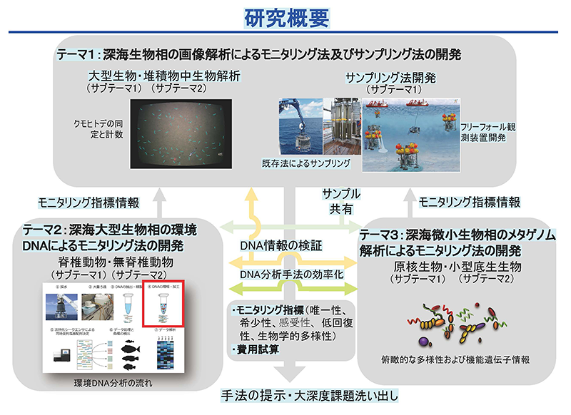 全体像の概略図