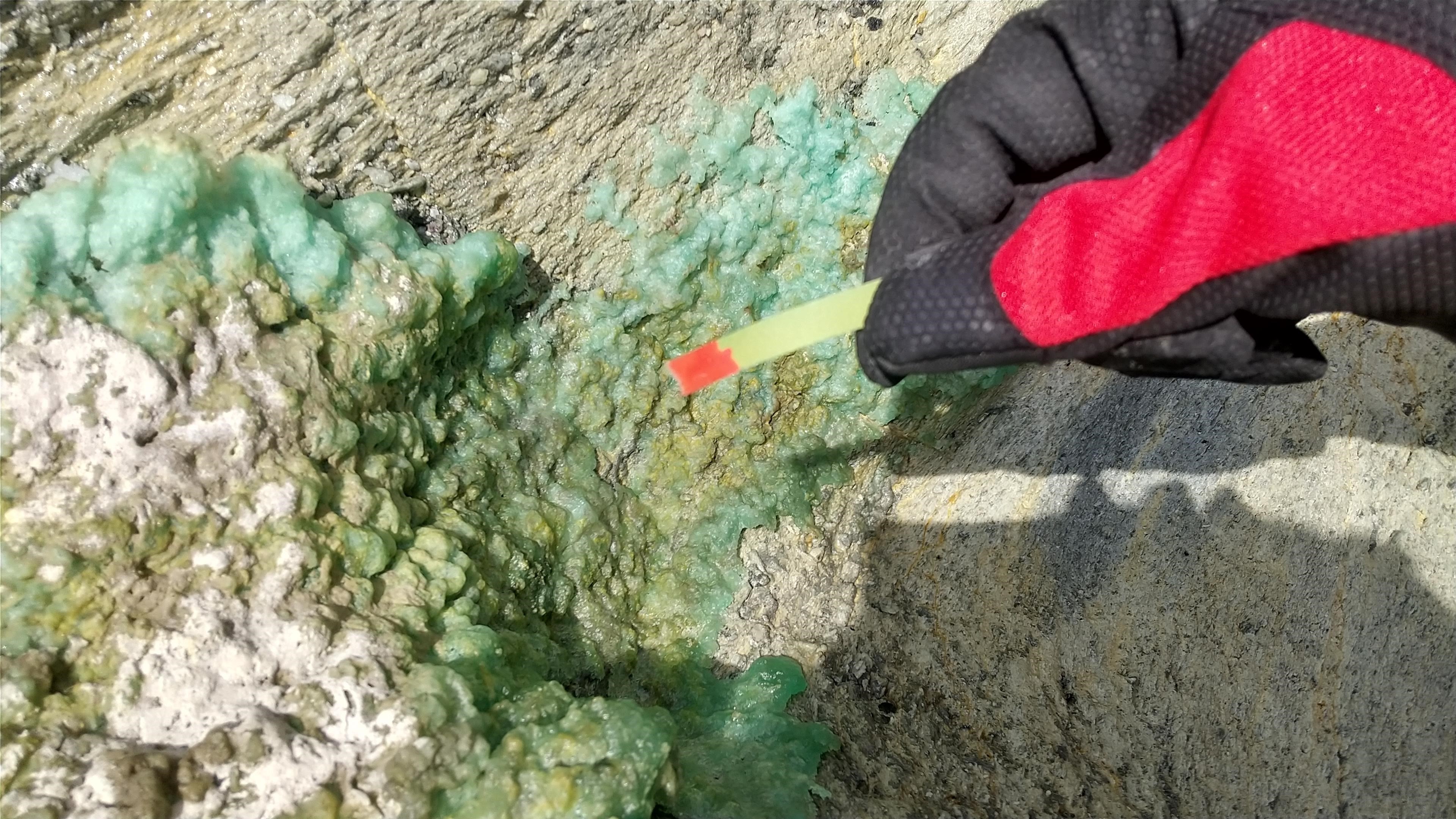 硫黄が酸化し、強酸性の水や析出物が確認されました