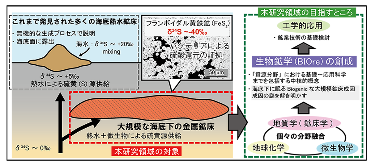 『生物鉱学』による海底熱水鉱床成因論と本研究領域の目的の概要