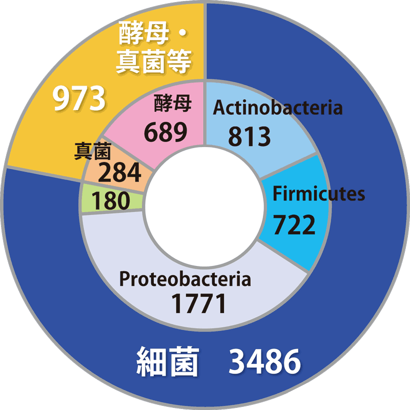 深海微生物株（バクテリア、酵母・真菌）