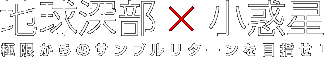 地球深部×小惑星　極限からのサンプルリターンを目指せ！