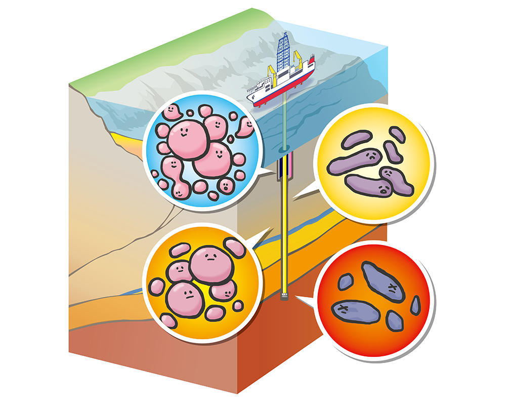 The Origin of Life