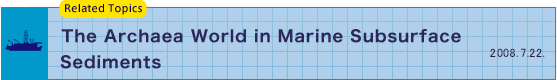 The Archaea World in Marine Subsurface Sediments