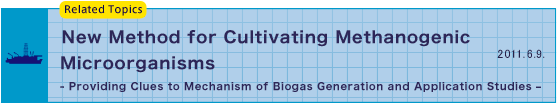 New Method for Cultivating Methanogenic Microorganisms - Providing Clues to Mechanism of Biogas Generation and Application Studies –