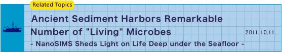 'Living' microbes discovered.