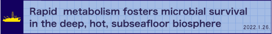 Rapid metabolism fosters microbial survival in the deep, hot, subseafloor biosphere