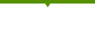 Daily Report