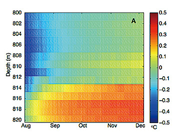 Observational data (enlarged for fault area)