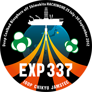 exp337