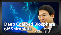 Deep Coalbed Biosphere off Shimokita