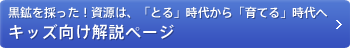 キッズ向け解説ページ