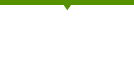 デイリーレポート