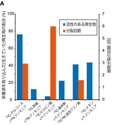 各種栄養源を取り込んだ微生物の割合と細胞分裂の回数． 最大で微生物全体の76％（グルコースとアンモニアを添加の場合）もの微生物が栄養分を取り込んでいた。