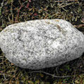 花崗岩（かこうがん、英：graniteグラニット）