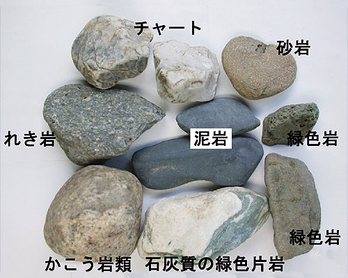 新井田川の岩石