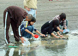 水中で椀を回して、軽い鉱物を飛ばし、重鉱物だけを集めます