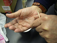 椀掛けして集まった重鉱物では、なにが見えるでしょうか?