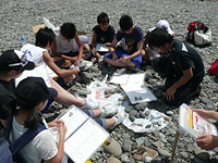 参加生徒が川原の岩石図鑑を作成